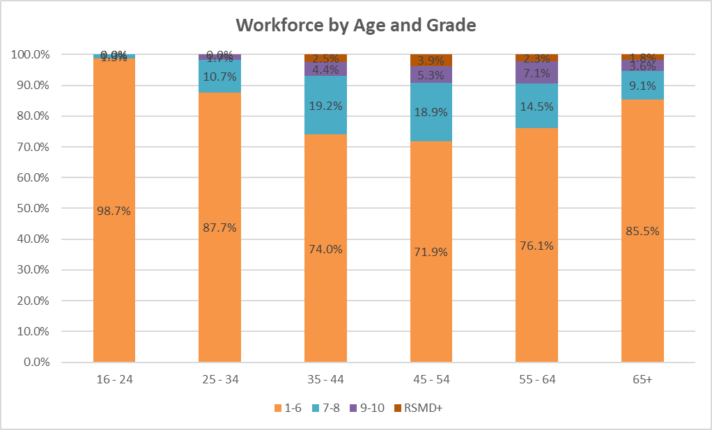 workforce by age and grade