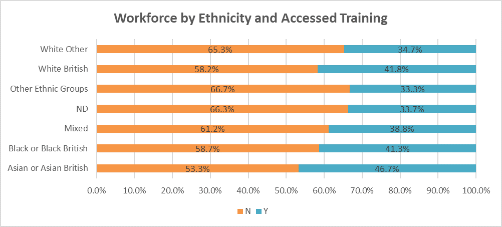 workforce by ethnicity and accessed training