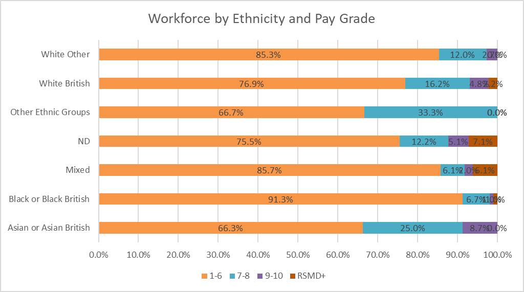 workforce by ethnicity and pay grade