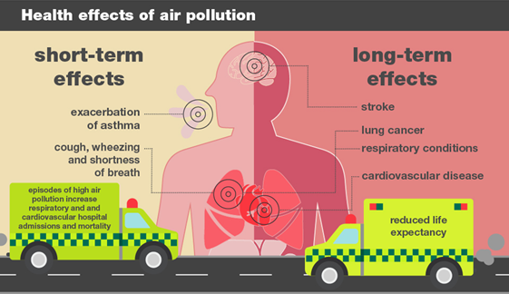 Diagram with half the page showing short-term effects, half showing long-term effects. Under short-term there is: exacerbation of asthma,; and cough, wheezing and shortness of breath. Under long-term effects there are: stroke; lung cancer; respiratory conditions; and cardiovascular disease.