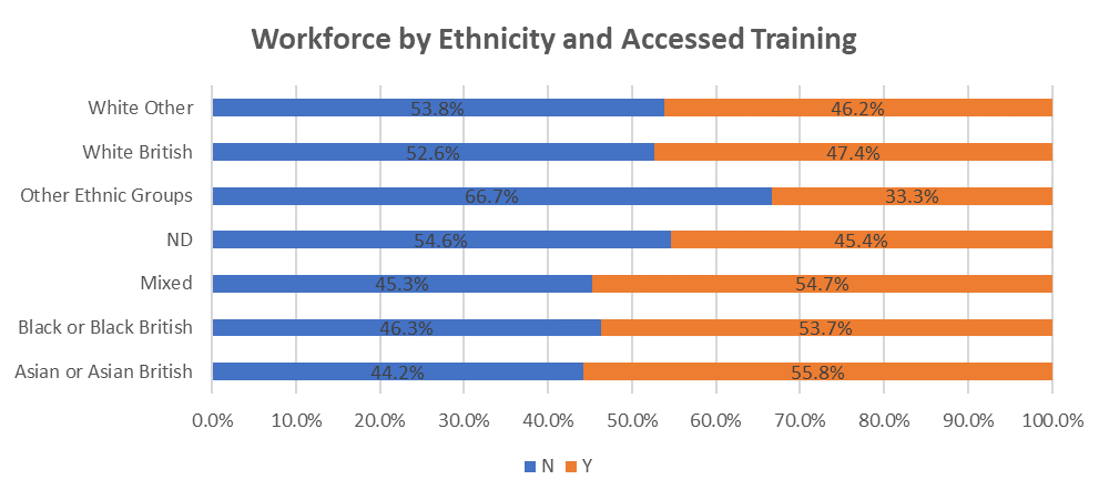 Bar chart showing workforce by ethnicity and accessed training.