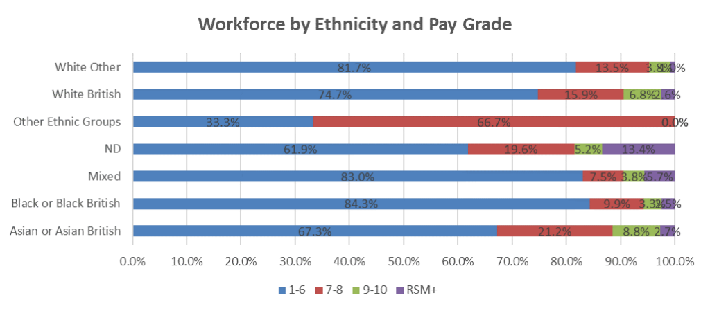Bar chart showing workforce by ethnicity and pay grade.