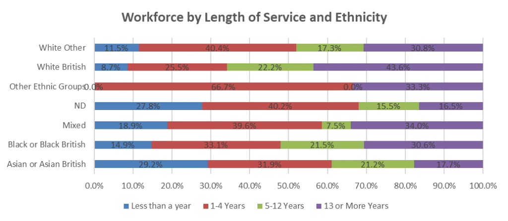Bar chart showing workforce by length of service and ethnicity.