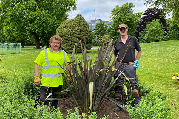 Two gardeners standing on either side of a large plant.
