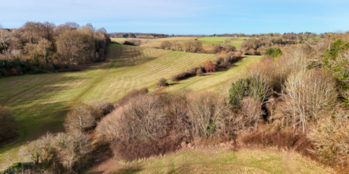 View of fields and trees and blue sky.