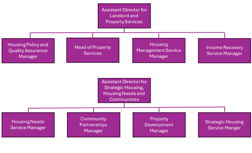 Organizational chart showing two divisions: The Assistant Director for Landlord and Property Services oversees four positions - Housing Policy and Quality Assurance Manager, Head of Property Services, Housing Management Service Manager, and Income Recovery Service Manager. The Assistant Director for Strategic Housing, Housing Needs and Communities oversees four positions - Housing Needs Service Manager, Community Partnerships Manager, Property Development Manager, and Strategic Housing Service Manager.