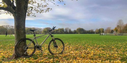 Bicycle propped on tree surrounded by autumn leaves.
