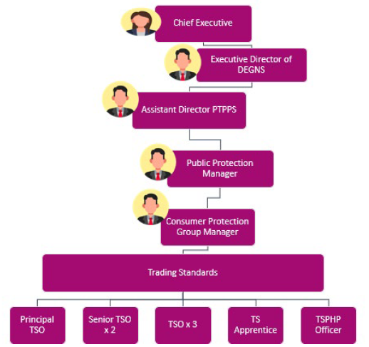 Organisational chart showing the management hierarchy for a Trading Standards department. From top to bottom: Chief Executive, Executive Director of DEGNS, Assistant Director PTPPS, Public Protection Manager, Consumer Protection Group Manager, then Trading Standards, which branches into five roles: Principal TSO, Senior TSO x2, TSO x3, TS Apprentice, and TSPHP Officer.