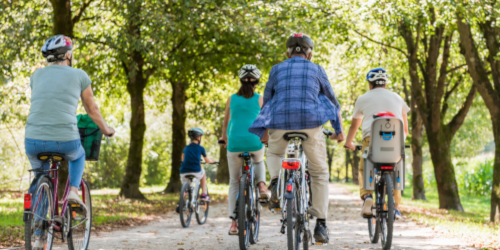A group of adults and children wearing helmets cycling together along a tree-lined path on a sunny day.