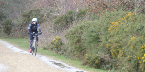 A cyclist wearing a white helmet and dark clothing rides towards the camera along a gravel path with frozen puddles. Dense hedgerows and flowering gorse bushes line either side of the path, suggesting a rural or heathland setting in winter.