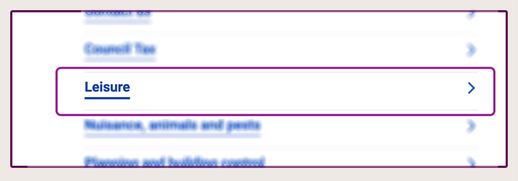 Screenshot showing the leisure category on My Reading Account